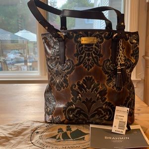 Rare Brahmin Asher Espresso Fresco